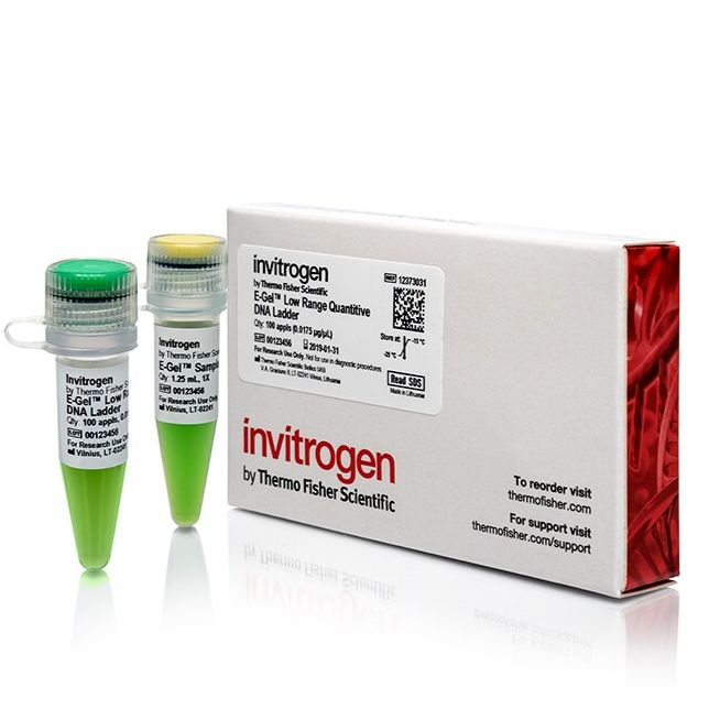 Invitrogen™ E-Gel™ 低范围定量 DNA 分子量标准