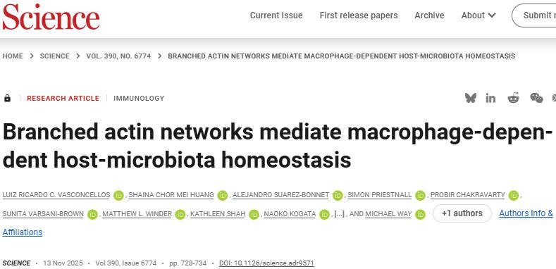 《Science》：巨噬细胞依赖的宿主-菌群稳态受分支肌动蛋白网络介导