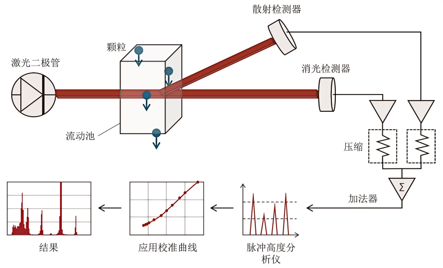 新闻图片7