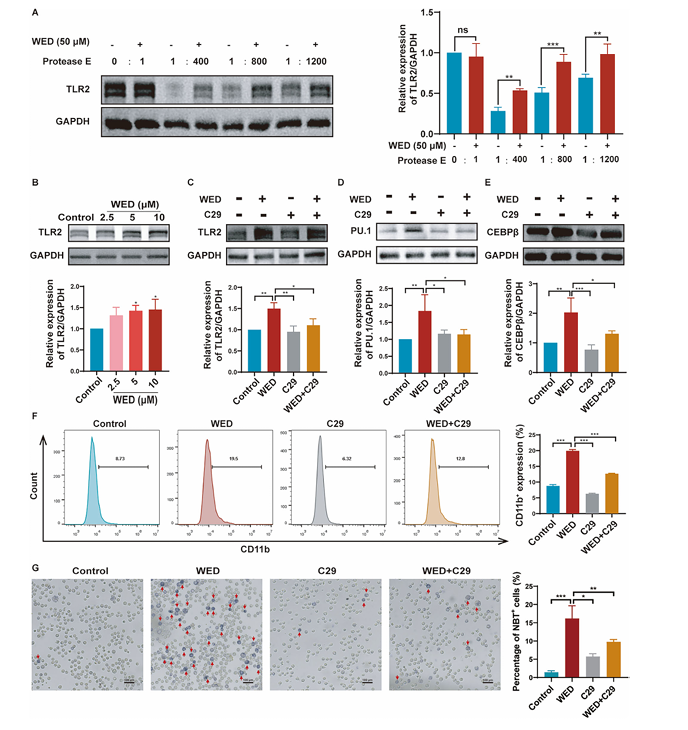 技术资料图片11