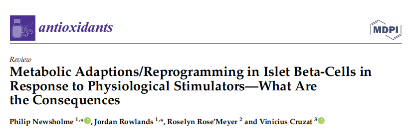 乳酸化修饰专题|《 Antioxidants》（DOI：10.3390/antiox11010108）解读：胰岛β 细胞的代谢适应与重编程机制