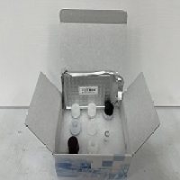 鸡白介素9(IL-9)ELISA试剂盒