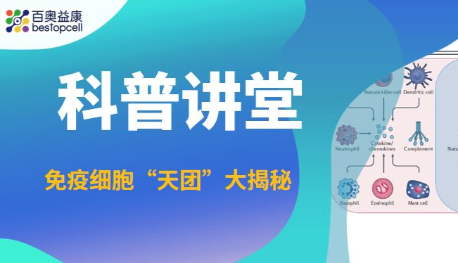 免疫细胞“天团”大揭秘：你的身体里住着哪些“守护战士”？