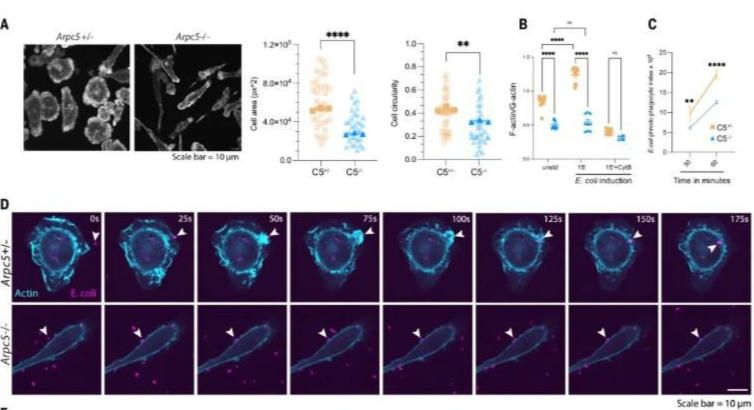 20251113-science-data4
