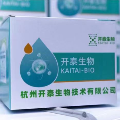 DMEM（高糖）含酚红、L-谷氨酰胺、HEPES（AO1012）