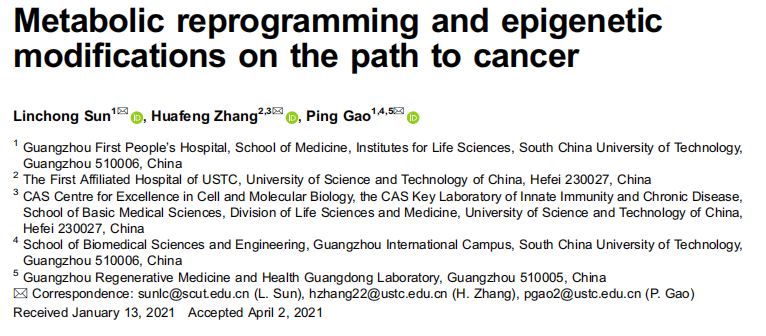乳酸化修饰专题|《Protein &amp; Cell》（2022IF：未明确标注，JCR 相关领域 Q1）解读：代谢重编程与表观遗传修饰在癌症中的作用