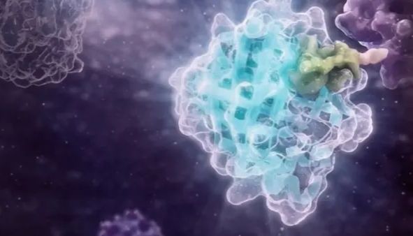 CRISPR/Cas9内源性标记在药物发现中的应用