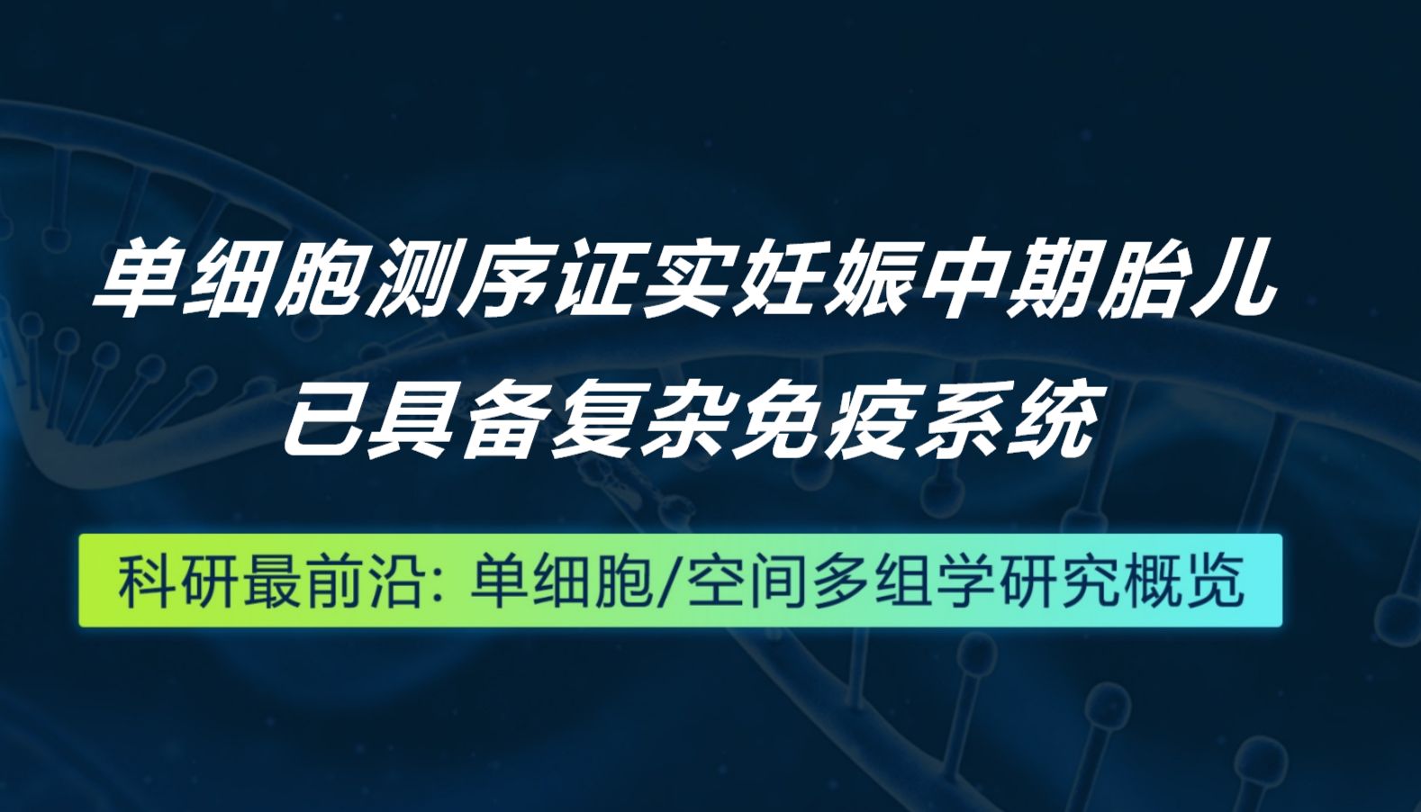 Cell丨单细胞测序证实妊娠中期胎儿已具备复杂免疫系统