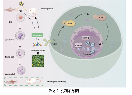 技术资料图片4