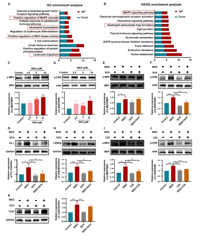 技术资料图片12