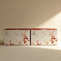 胰蛋白酶(Trypsin)试剂盒