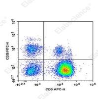 细胞染色非特异？Elabscience FITC标记抗人 CD56/NCAM 抗体[5.1H11]精准结合，告别杂信号干扰！