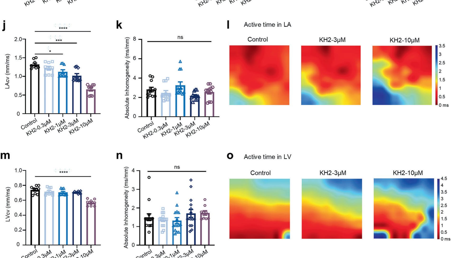基于结构的虚拟筛选与实验验证：一种可抑制心脏传导的新型钠通道 Nav1.5 抑制剂的发现