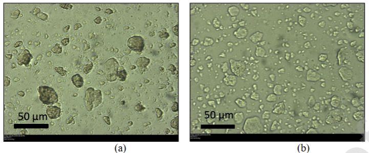 其他行业应用专题 | 颗粒计数器在日化护理产品上的应用