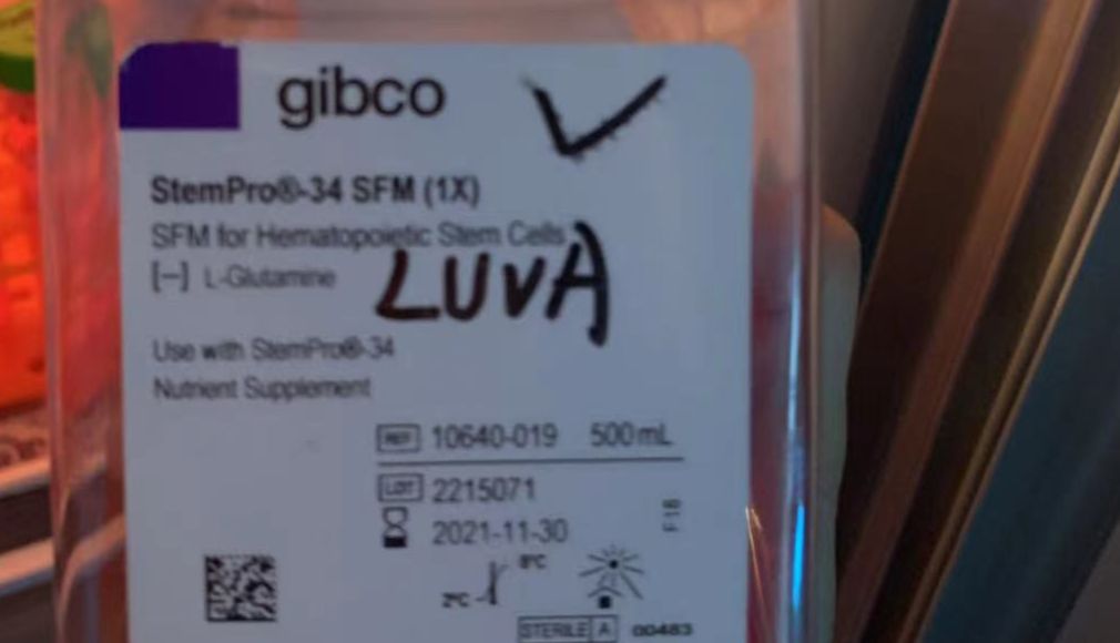 人肥大细胞LUVA专用培养基