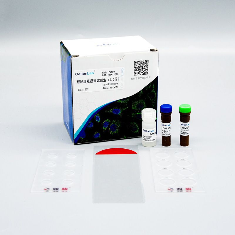 ZX102 细胞膨胀显微试剂盒(4.5倍)
