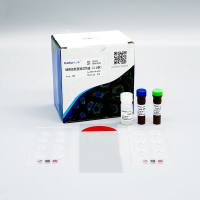 ZX102 细胞膨胀显微试剂盒(4.5倍)