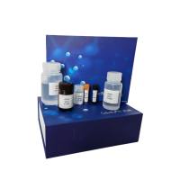 现货供应大鼠6-酮前列腺素(6-KPG)ELISA kit