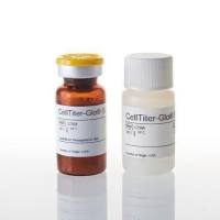 CellTiter-Glo® Luminescent Cell Viability Assay