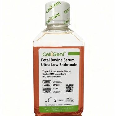 CelliGent（CG0530A/CG0530B）超低内毒素胎牛血清