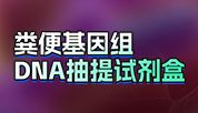 肠道菌群研究好帮手｜碧云天粪便基因组DNA抽提双方案推荐！
