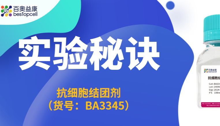 实验秘诀 | 百奥益康抗细胞结团试剂使用攻略