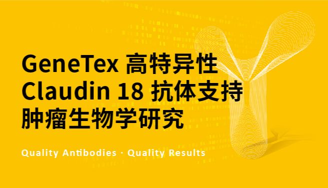 GeneTex 高特异性 Claudin 18 抗体支持肿瘤生物学研究