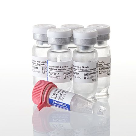 Sequencing Grade Modified Trypsin