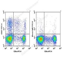 CD57 检测信号弱？Elabscience FITC标记抗人  CD57 抗体[HNK-1]精准捕获，告别假阴性！