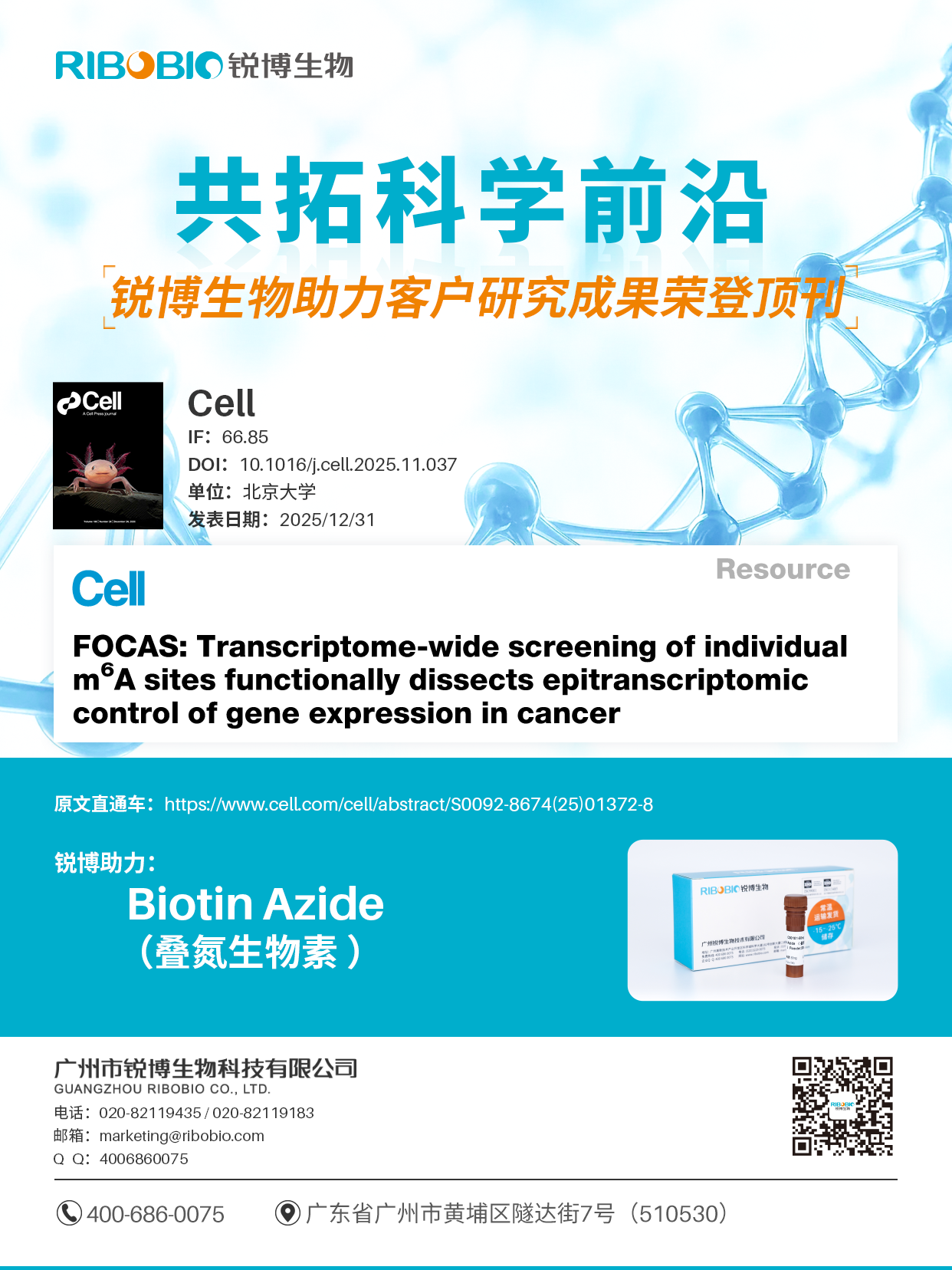 锐博Biotin Azide助力前沿科研再登《Cell》顶刊！！！