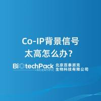 Co‑IP背景信号太高怎么办？