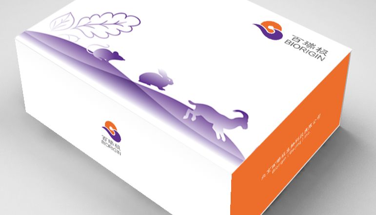 ELISA实验操作要点（数据处理）