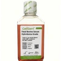 CelliGent(CG0630A/CG0630B)杂交瘤专用胎牛血清