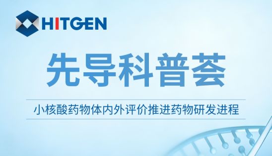 先导科普荟 | 小核酸药物体内外评价推进药物研发进程