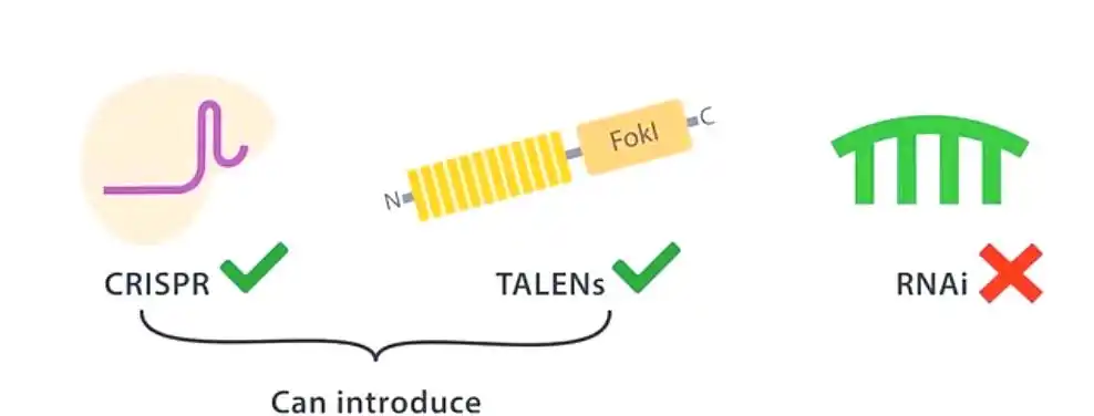 Rescue回补实验，你设计对了吗?用2张图说清楚。