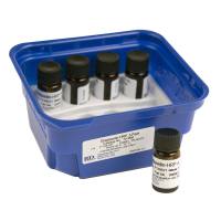 R&D Systems货号DY998现货Streptavidin-HRP上海睿安生物R&D Systems-Tocris官方正式授权代理19121878899