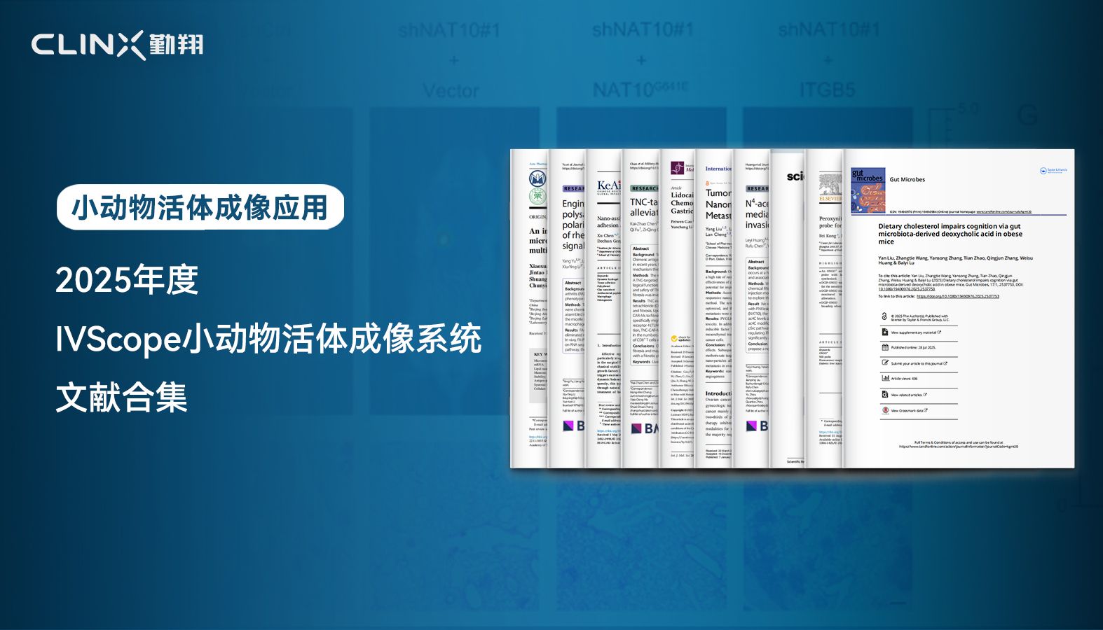 文献合集| 2025年度Clinx勤翔IVScope小动物活体成像系统应用文献摘要