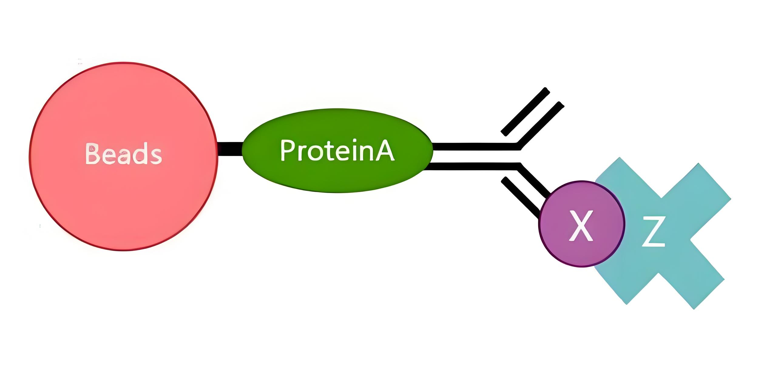 怎么读Coip实验结果?一张图你就懂了