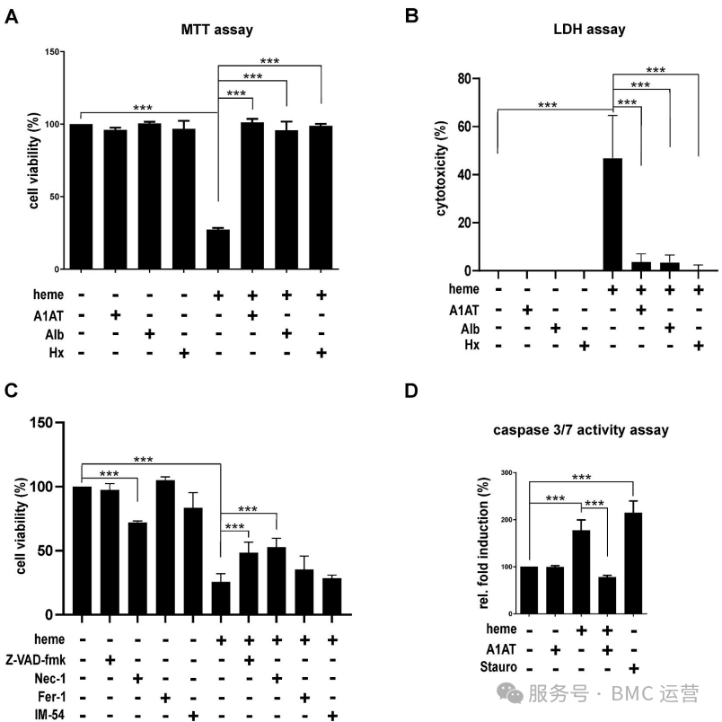 溶血性疾病治疗新视角：Athens血红素结合蛋白支持A1AT调控内皮细胞自噬与存活的机制研究