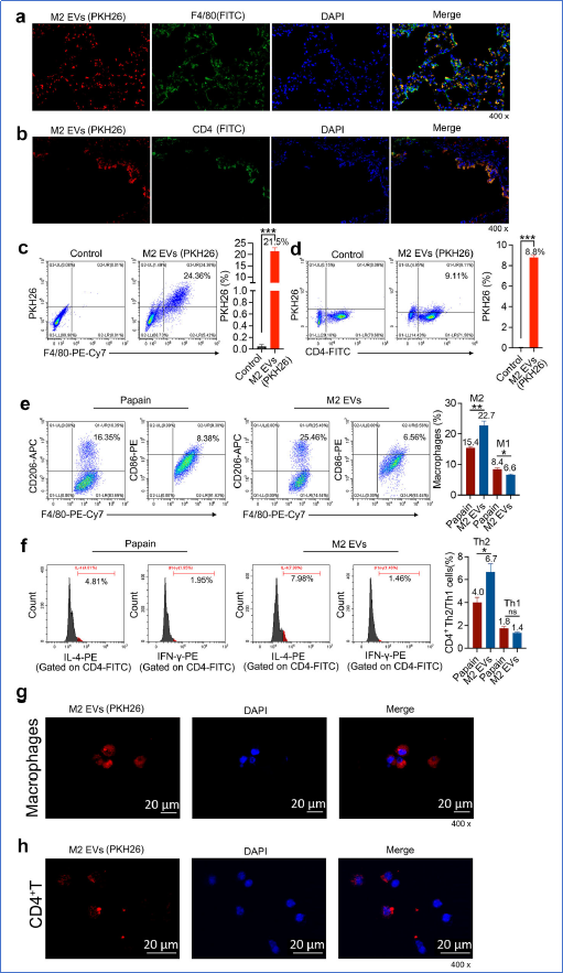 6390226784986907339903330