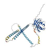 重组小鼠神经元五聚蛋白II（NPTX2）现货热销中
