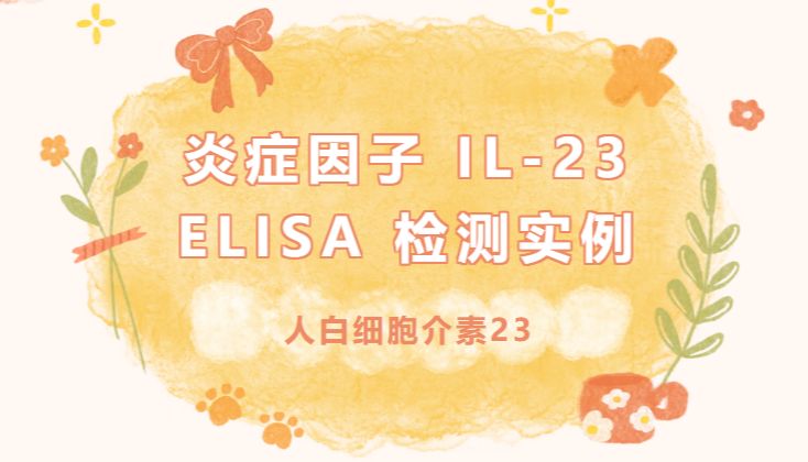 炎症因子——人白细胞介素23(IL-23)ELISA检测实例