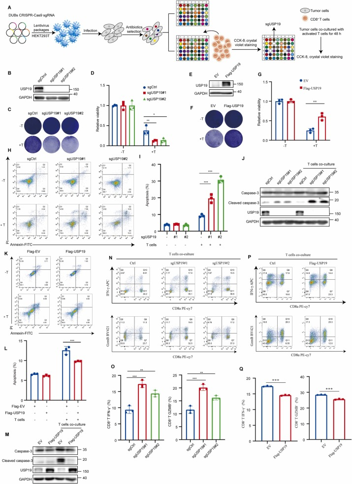 6390201478930237693227480