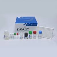 小鼠钙黏蛋白5(CDH5)ELISA试剂盒Mouse Cadherin-5(CDH5) ELISA kit