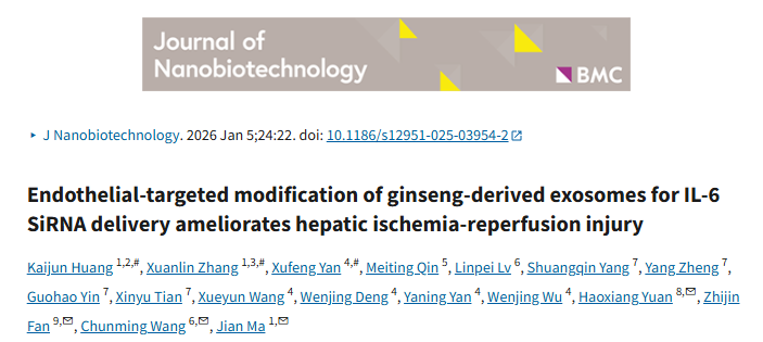 中药外泌体再升级！人参G-Exos靶向修饰+siRNA递送，肝IRI疗效翻倍，直击炎症/氧化双痛点