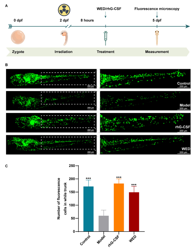6390346180332779751473526