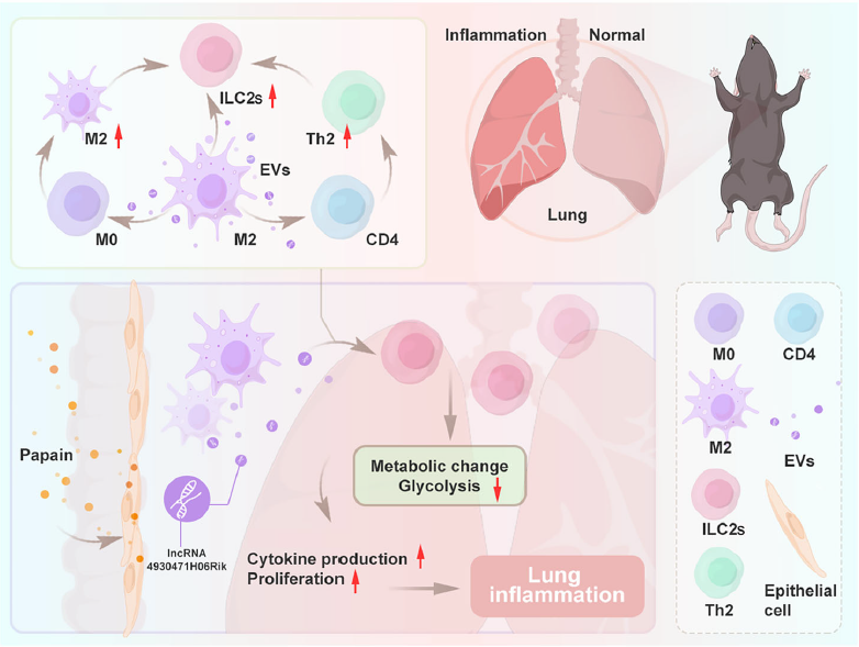 6390226790202345553947641