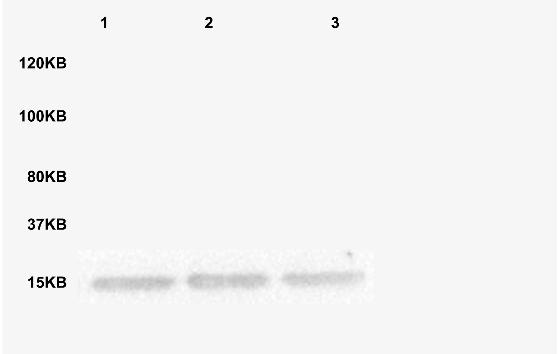 产品细节图片18