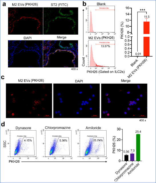 6390226783723586443826451