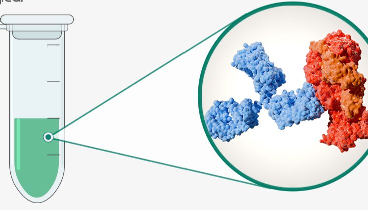 无细胞蛋白表达系统：高通量抗体生产的革命性解决方案